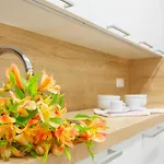 Center⎮3 Bedrooms⎮free Wifi Saint-Sébastien
